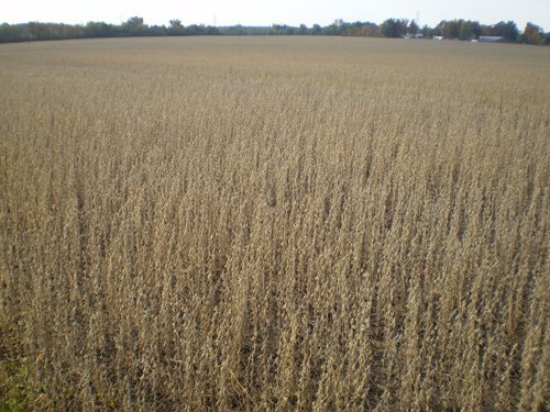 Property photo 2 - 75+/- Acres in 9 Tracts